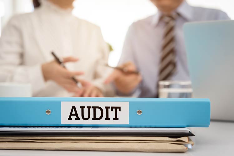 auditor working with SBIR financial statements
