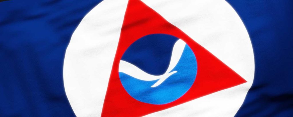 NOAA Icon in a flag